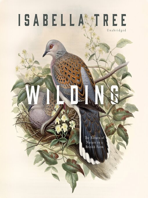 Cover image for Wilding